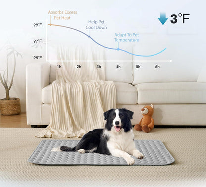 🐾Dog Mat