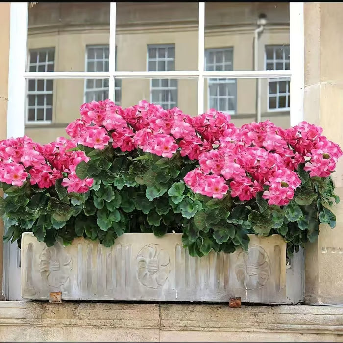 🌸 Last Day 50% OFF – UV Resistant Artificial Geranium Flowers for Outdoors & Home Decor