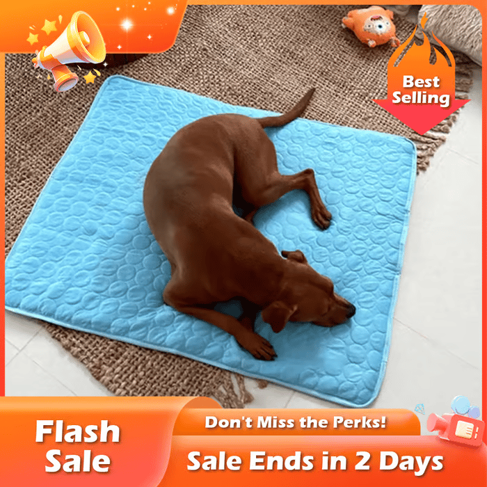 Blue dog cooling mat